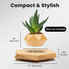 Magnetic Levitating Bonsai Pot