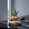 Magnetic Levitating Bonsai Pot
