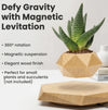 Magnetic Levitating Bonsai Pot