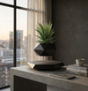 Magnetic Levitating Bonsai Pot