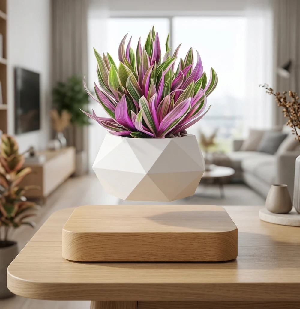 Magnetic Levitating Bonsai Pot