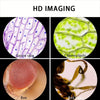 Handheld Kids Science Microscope