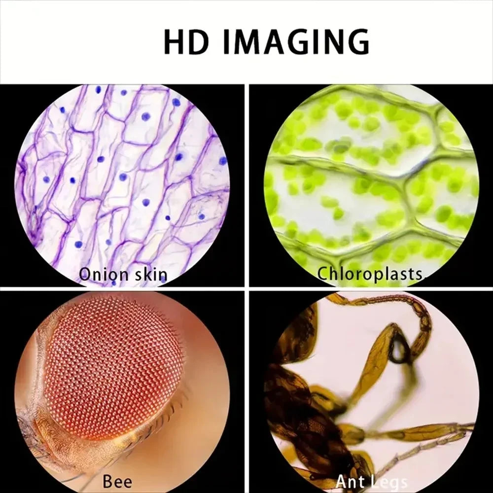 Handheld Kids Science Microscope